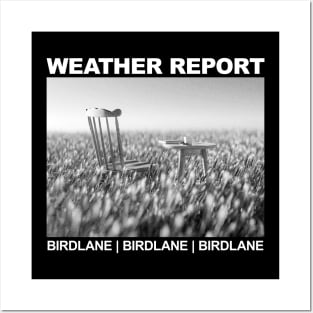 Weather Report Birdland Posters and Art